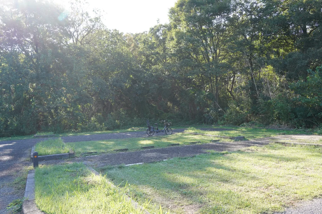 朝の公園