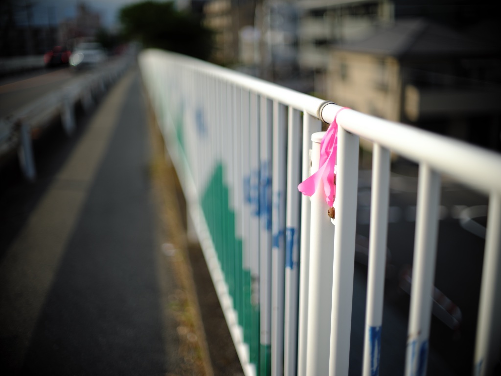 普段なかなか開放で撮らないので開放固定でおさんぽしてきた (1/2)
