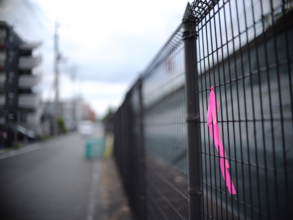 普段なかなか開放で撮らないので開放固定でおさんぽしてきた (2/2)